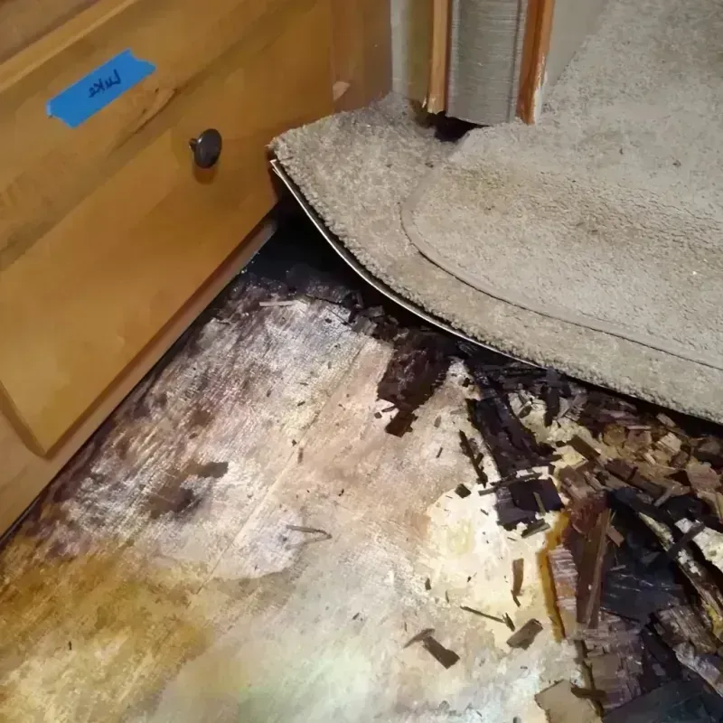 Wood Floor Water Damage in North Branch, MN